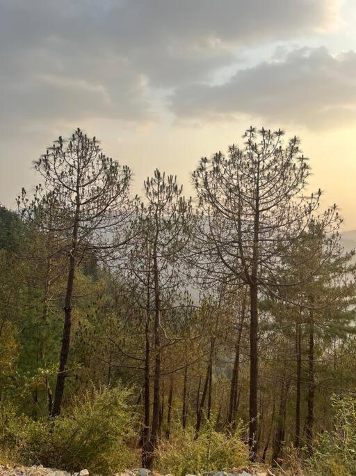 Residence Inn Homestay Shimla Eksteriør bilde