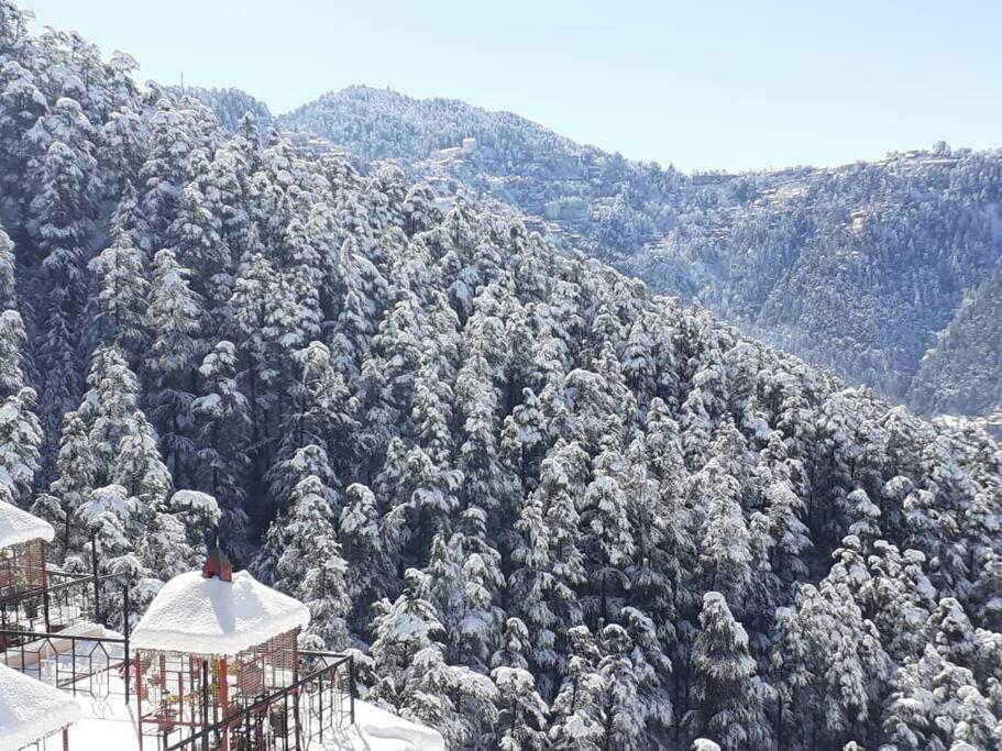 Residence Inn Homestay Shimla Eksteriør bilde