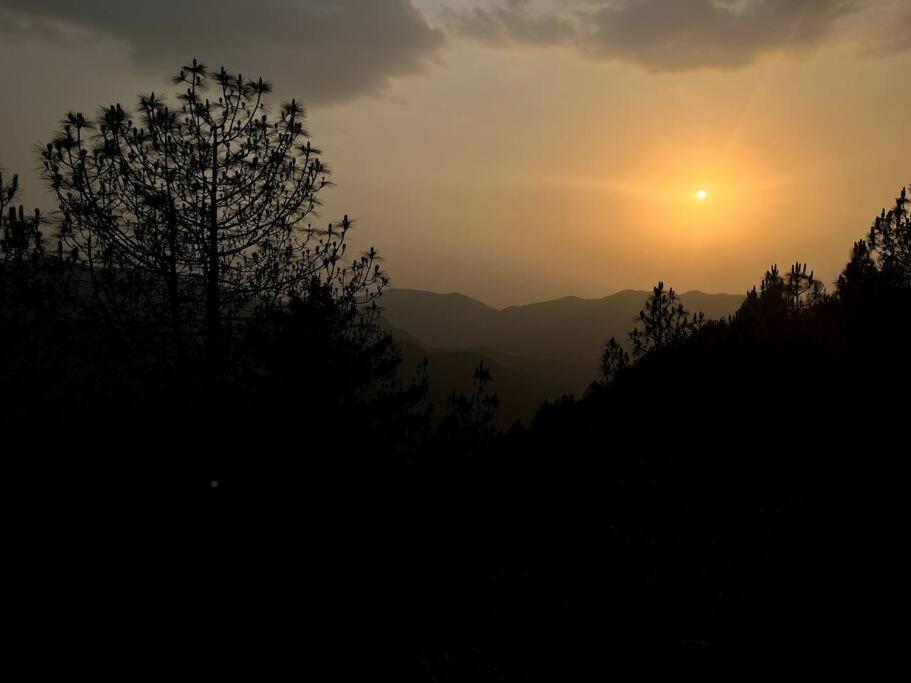 Residence Inn Homestay Shimla Eksteriør bilde