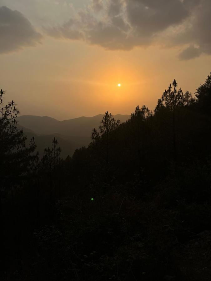 Residence Inn Homestay Shimla Eksteriør bilde