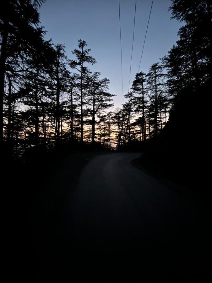 Residence Inn Homestay Shimla Eksteriør bilde